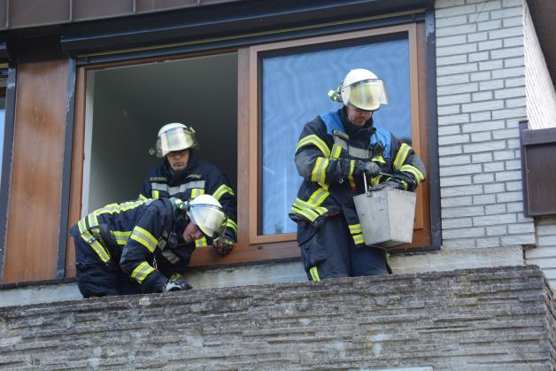 Feuerwehr rettet Entenküken aus Regenrinne in Oststeinbek