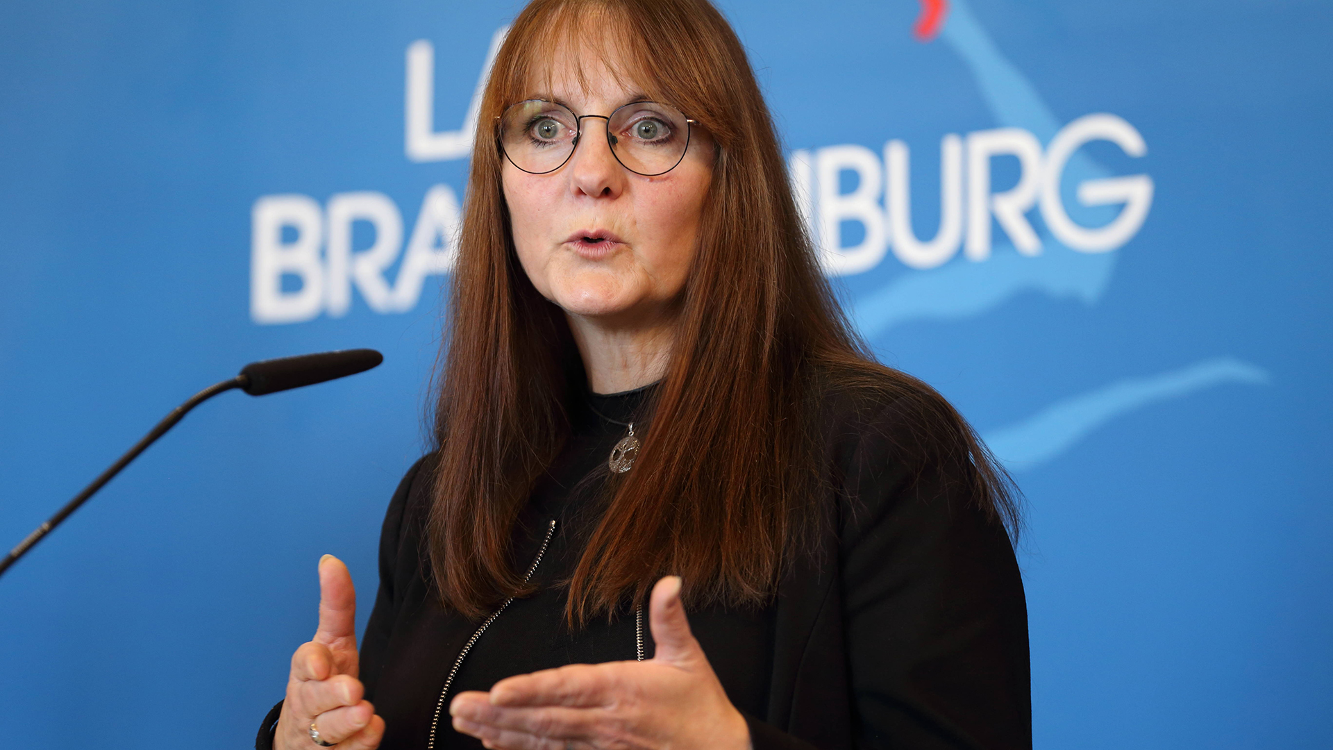 Verfassungsschutz-Gutachten zur AfD könnte bald veröffentlicht werden