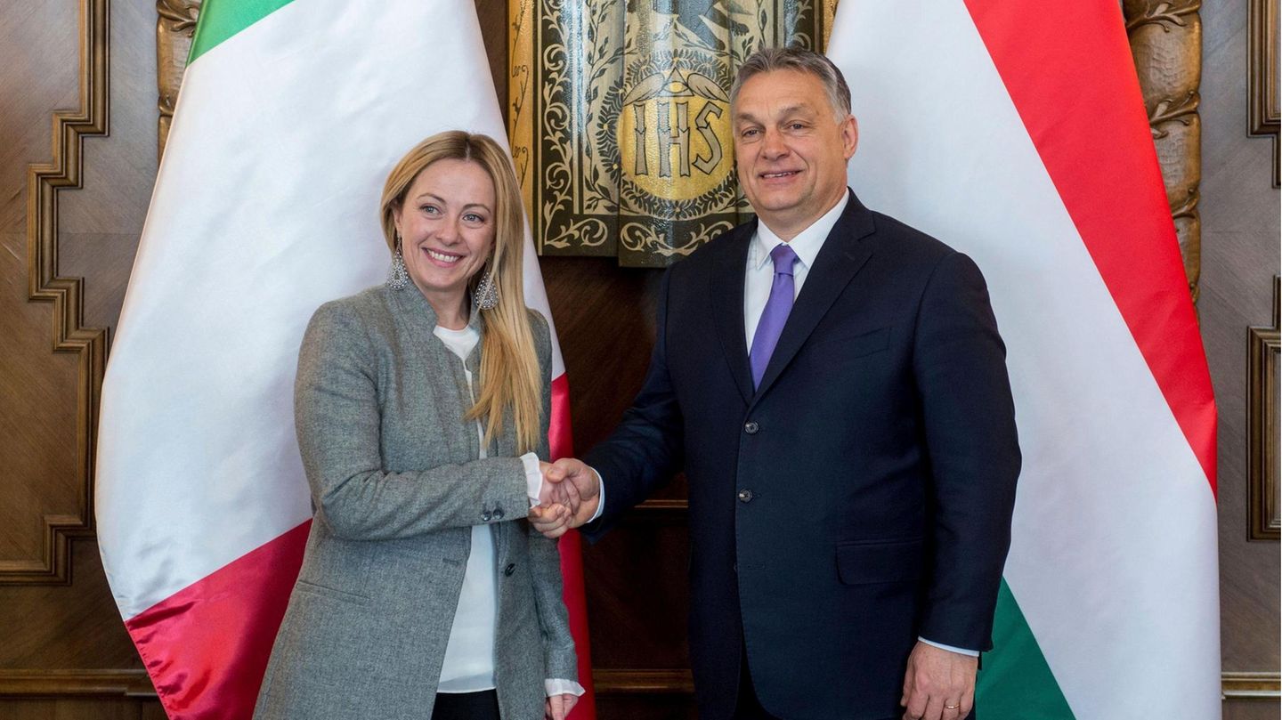 Giorgia Meloni: Eine Frau in der Politik und die Macht des Lebens