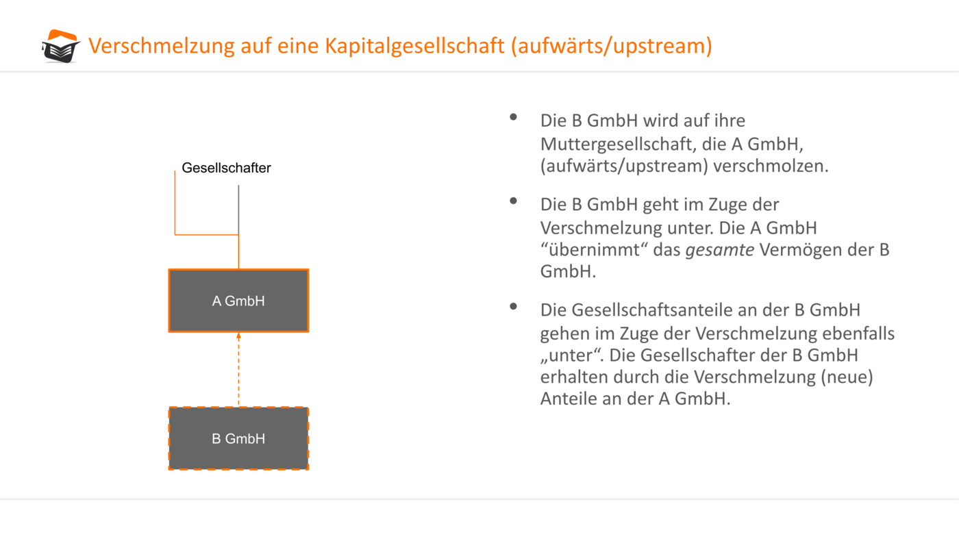 Die Verschmelzung der Unterschiede: Wie die Gesellschaft aufgefordert wird, sich anzupassen