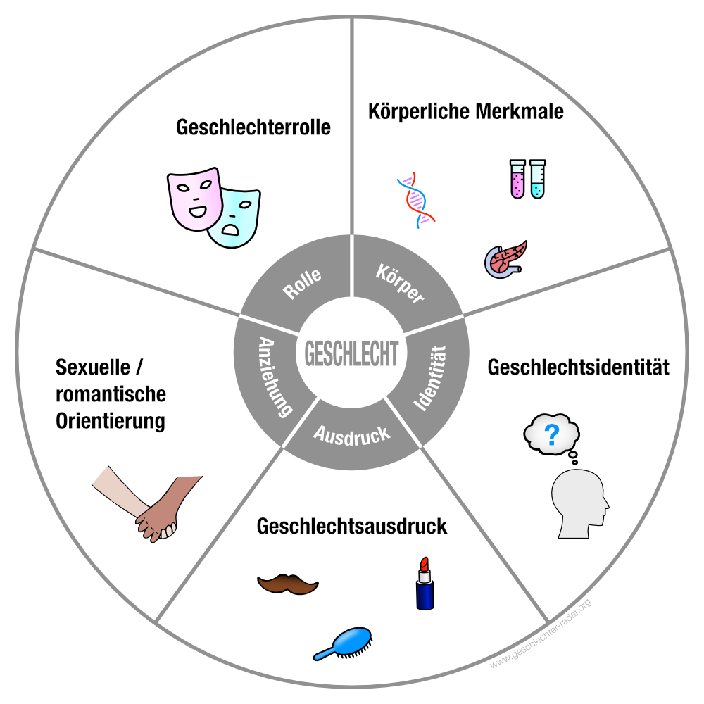 Die Grenzen der Geschlechterdiskussion: Eine Aussage und ihre unerwarteten Konsequenzen