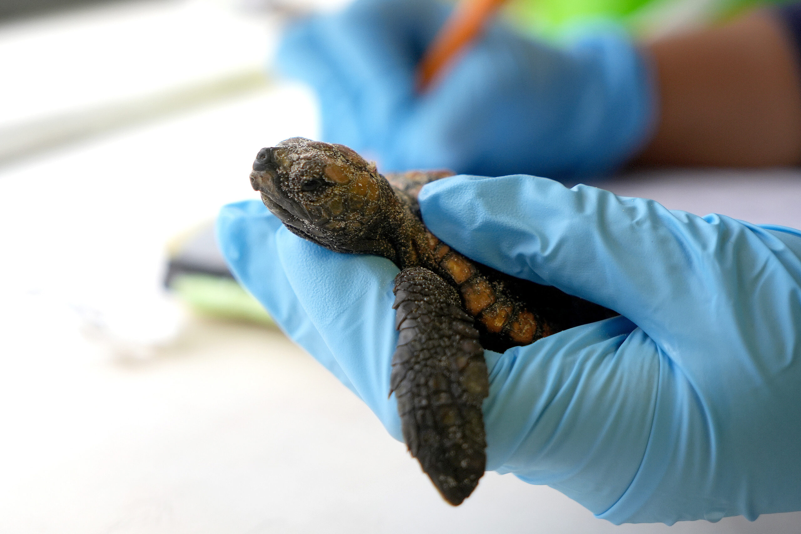 Meeresschlachten ohne Sieger