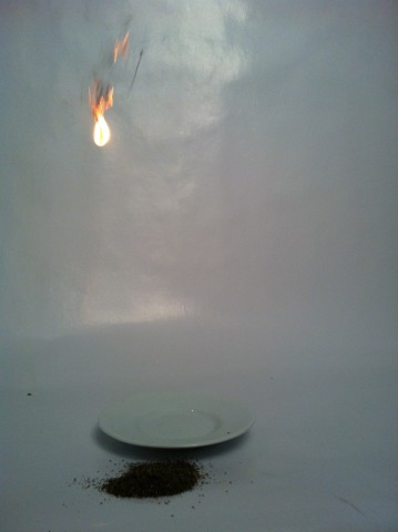 Ein Haushaltsloch für 480 Baum-Beamte – Die neue Bürokratie von Schilda