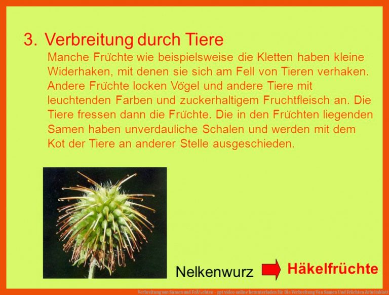 Digitale Gewalt wird zum gesellschaftlichen Problem – Jan Tomaschoff kritisiert die Verbreitung von Hass im Netz
