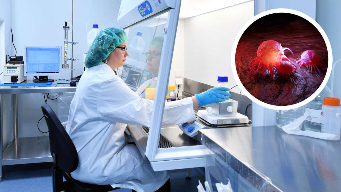 Ein Gift, das nie verschwindet: Die langfristigen Folgen der mRNA-Impfung auf die deutsche Bevölkerung