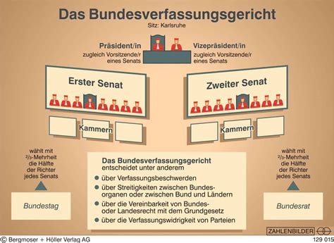 Verfassung ohne Schutz: Die politische Kontrolle des Bundesverfassungsgerichts